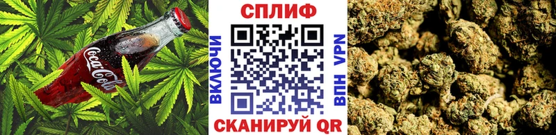 наркотики  Нальчик  Cannafood марихуана 