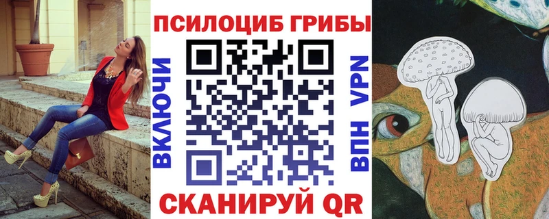 blacksprut ссылки Нальчик Галлюциногенные грибы GOLDEN TEACHER
