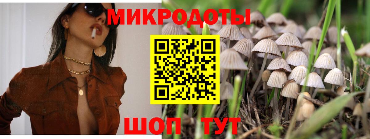 Галлюциногенные грибы Psilocybine cubensis Нальчик