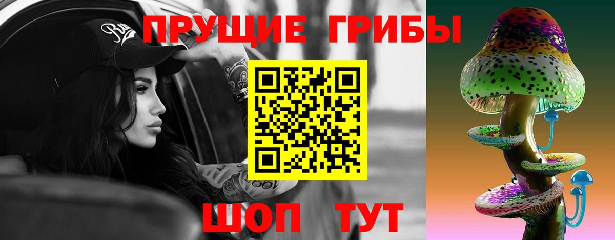 Галлюциногенные грибы прущие грибы  Псилоцибиновые грибы GOLDEN TEACHER  Вход с VPN  Нальчик 